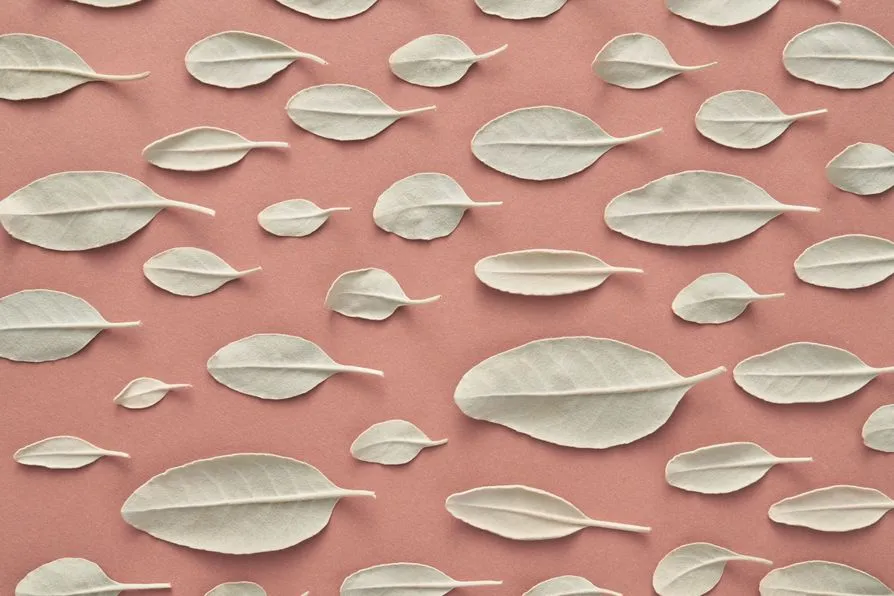 various sizes of sage leaves on terracotta background