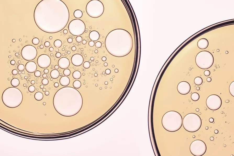 Petri dishes
