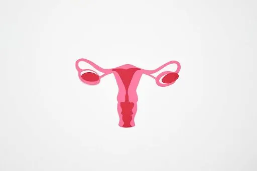Fallopian Tube Blockage Treatment