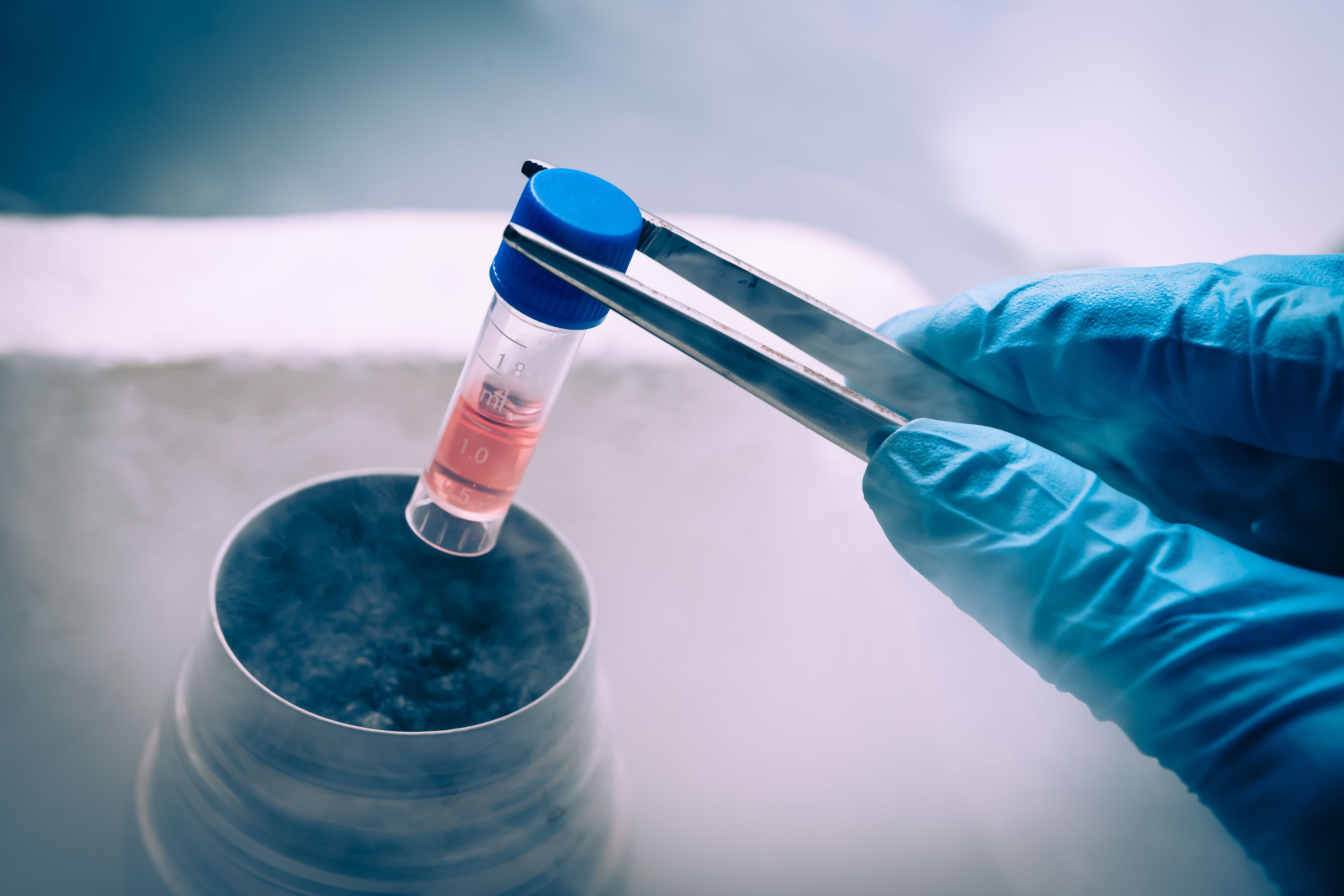 Steps involved with frozen embryo transfer
